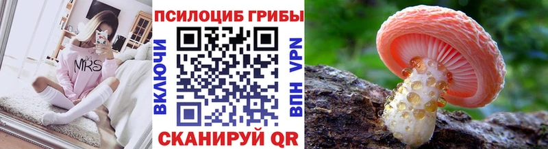 купить закладку  Туапсе  Псилоцибиновые грибы Cubensis 